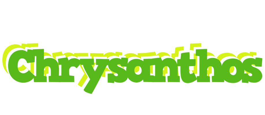 Chrysanthos picnic logo