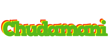 Chudamani crocodile logo