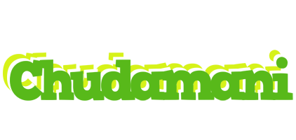 Chudamani picnic logo