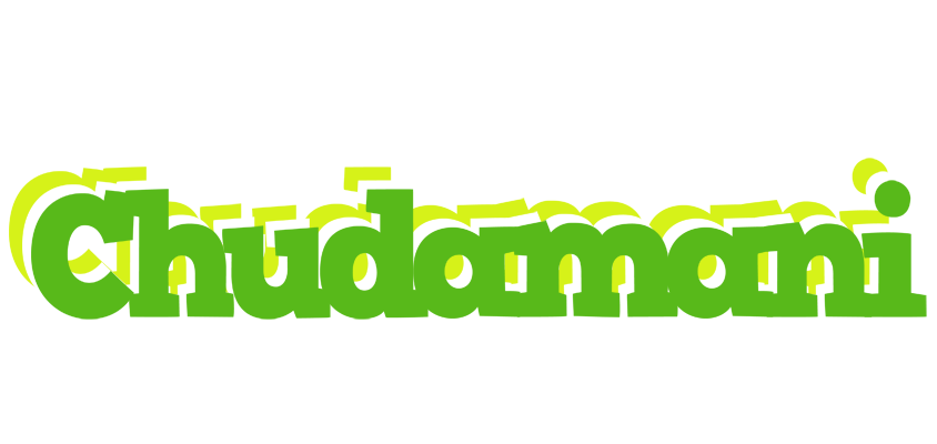 Chudamani picnic logo
