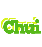 Chui picnic logo