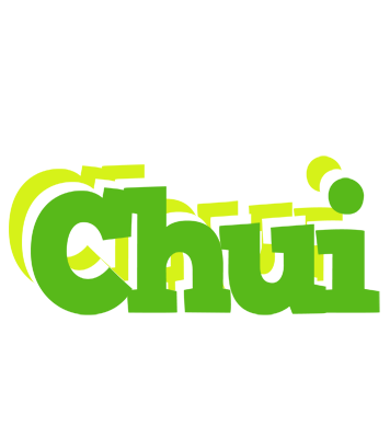 Chui picnic logo