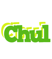 Chul picnic logo