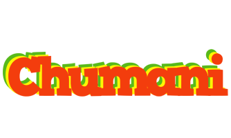 Chumani bbq logo