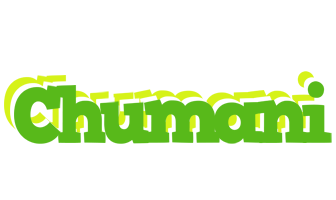 Chumani picnic logo