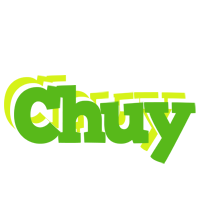 Chuy picnic logo