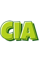 Cia summer logo