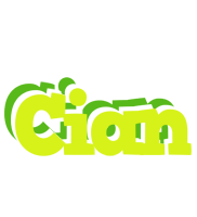 Cian citrus logo