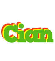 Cian crocodile logo