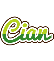 Cian golfing logo