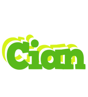 Cian picnic logo