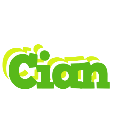 Cian picnic logo