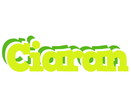 Ciaran citrus logo