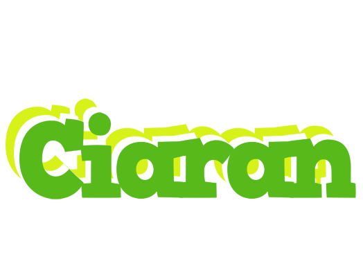 Ciaran picnic logo