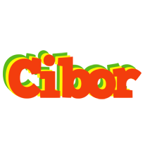 Cibor bbq logo