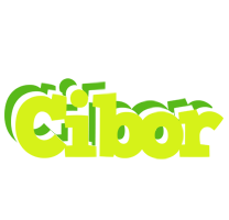 Cibor citrus logo