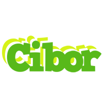 Cibor picnic logo