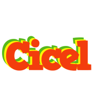 Cicel bbq logo