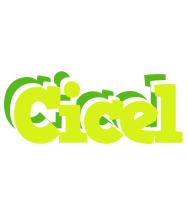 Cicel citrus logo