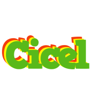 Cicel crocodile logo