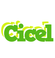 Cicel picnic logo