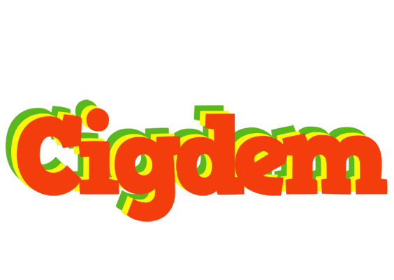 Cigdem bbq logo