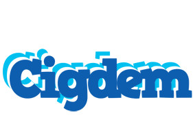 Cigdem business logo