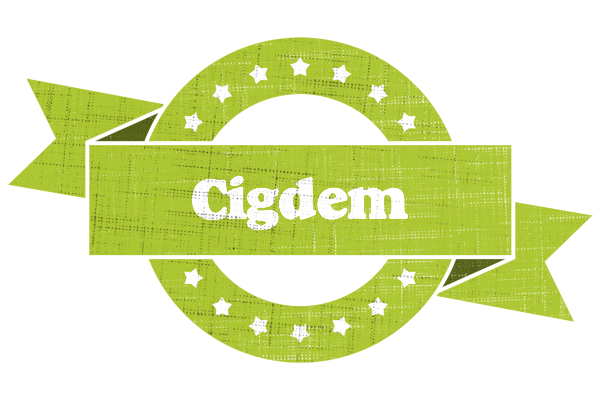 Cigdem change logo