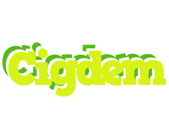 Cigdem citrus logo