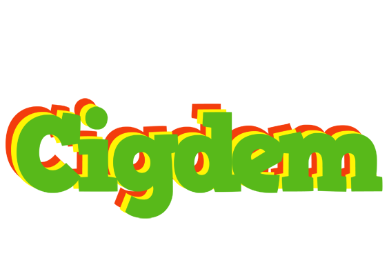 Cigdem crocodile logo