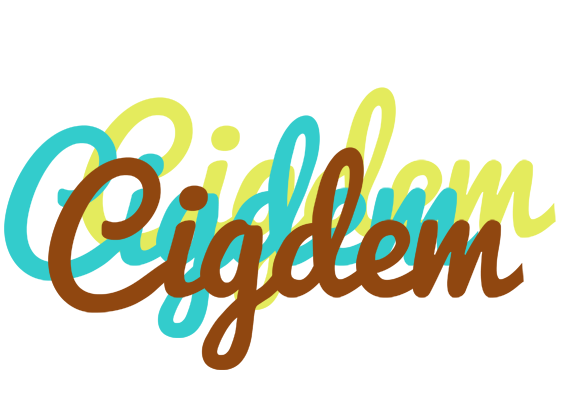 Cigdem cupcake logo