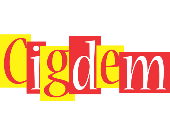 Cigdem errors logo