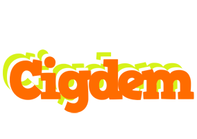 Cigdem healthy logo