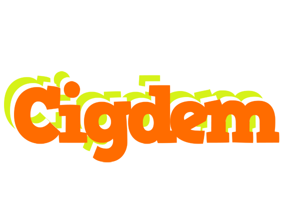 Cigdem healthy logo