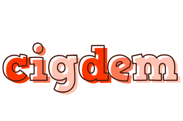 Cigdem paint logo
