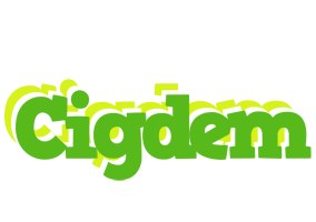 Cigdem picnic logo