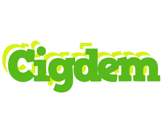Cigdem picnic logo