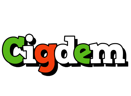 Cigdem venezia logo