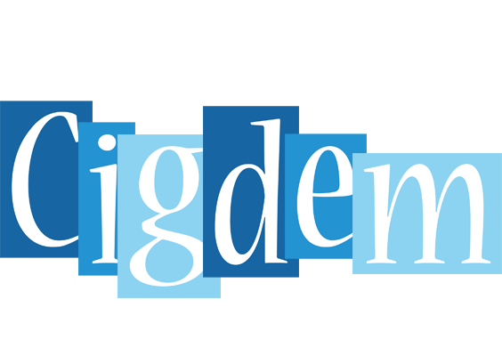 Cigdem winter logo