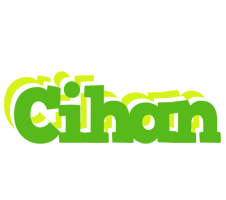 Cihan picnic logo