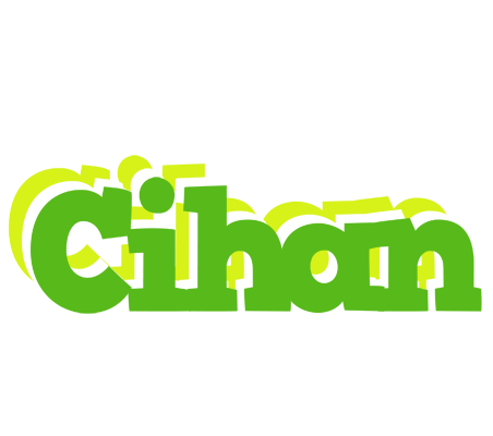Cihan picnic logo