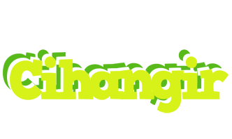 Cihangir citrus logo