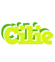 Cilie citrus logo