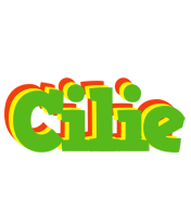 Cilie crocodile logo