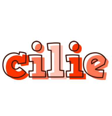 Cilie paint logo