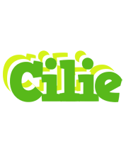 Cilie picnic logo