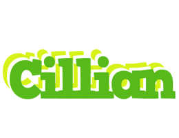 Cillian picnic logo