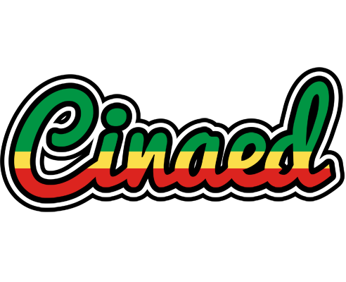 Cinaed african logo