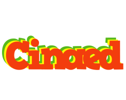 Cinaed bbq logo