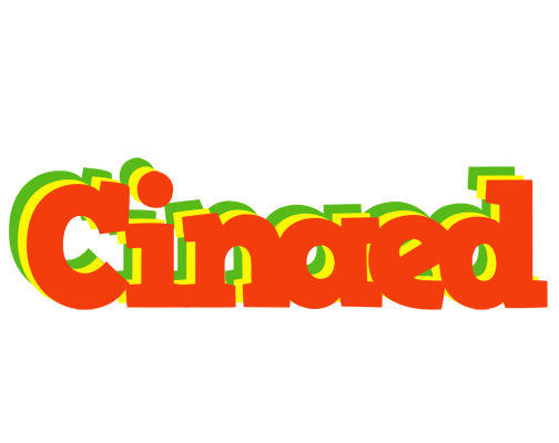 Cinaed bbq logo